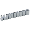 1/4" Dr. 10 Piece 12 Point Standard SAE Socket Set